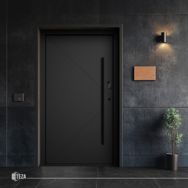 Entry doors-03