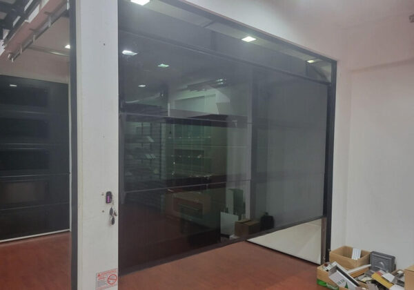 TEZA Aluminum Garage Door With Black Glass