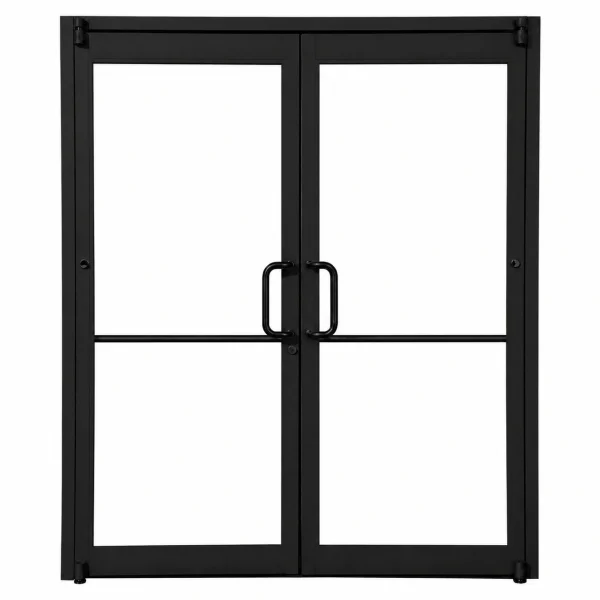 Teza 55 Series Storefront Commercial Door