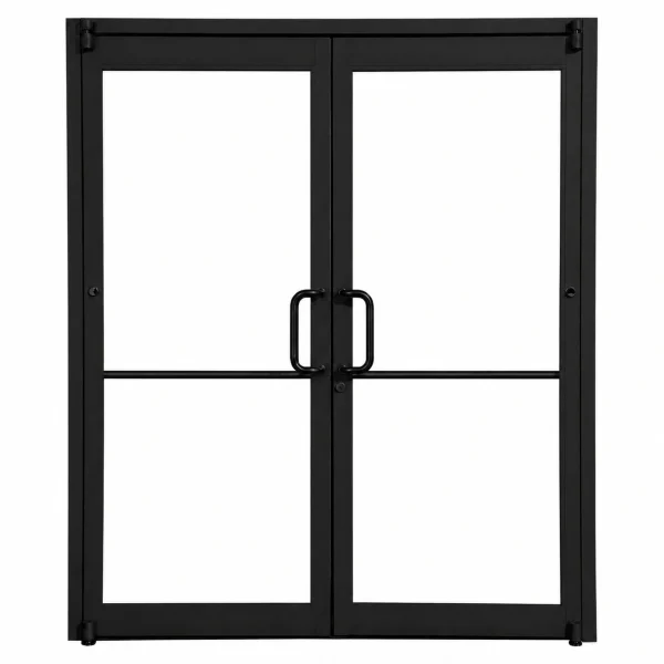 Teza 55 Series Storefront Commercial Door
